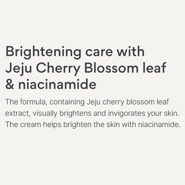 INNISFREE Jeju Cherry Blossom Tone-Up Cream Skin-Fit SPF50+ PA++++ 50ml