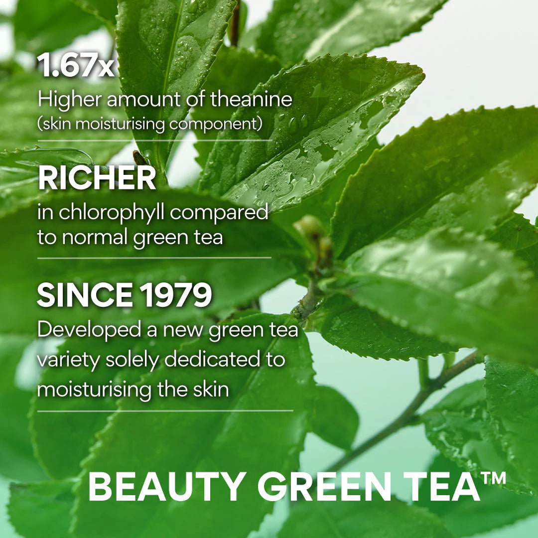 INNISFREE Green Tea Hyaluronic Skin 170ml