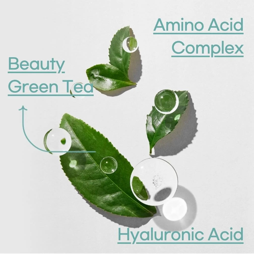 INNISFREE Green Tea Seed Hyaluronic Cream 100ml