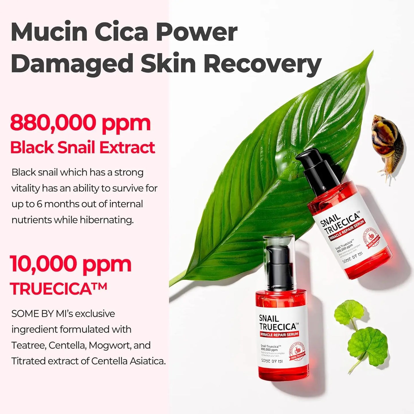 SOME BY MI Snail Truecica Miracle Repair Serum 50ml